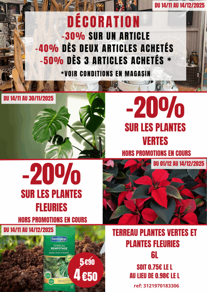 offres décoration Noël