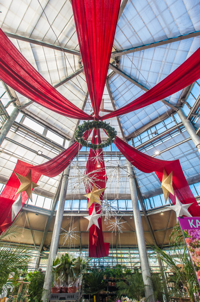 Marhé de Noël Jardinerie du louvre lens