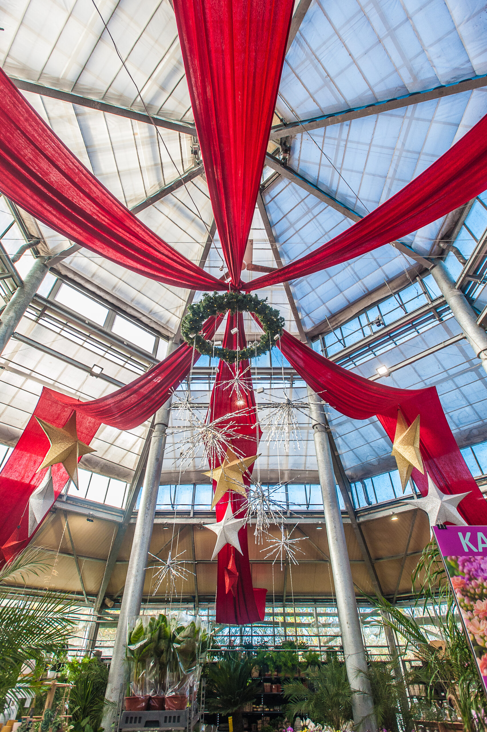Marhé de Noël Jardinerie du louvre lens