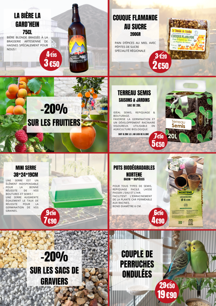 Offres de février Jardins du Louvre Lens