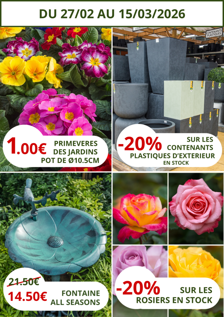 Offres mars jardin du louvre lens