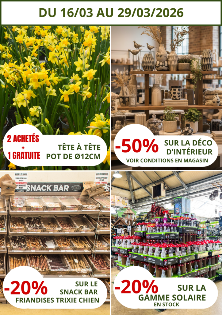 Offres mars jardin du louvre lens