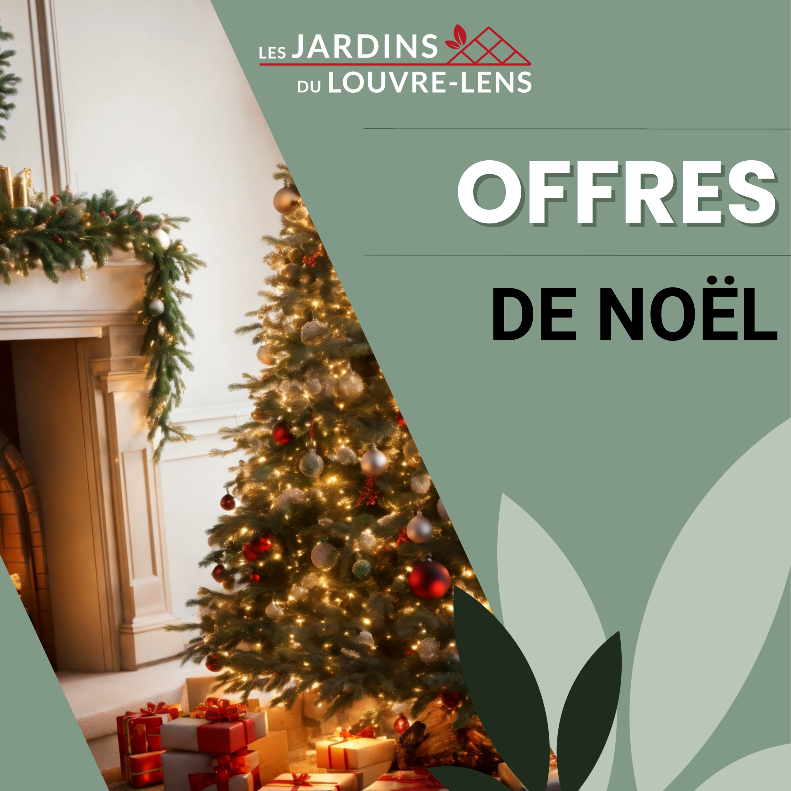 Offres Noël 2025