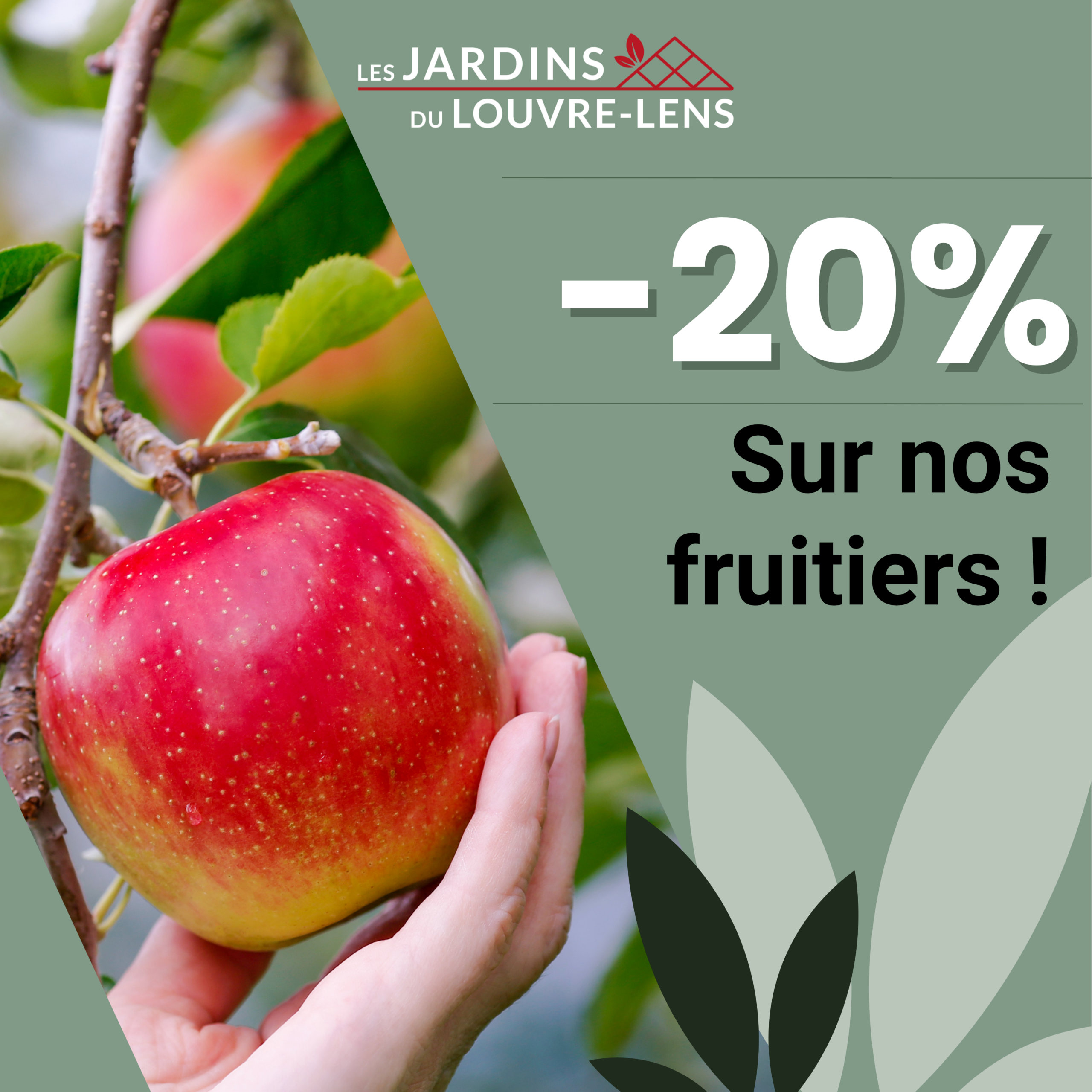 Promos fruitiers