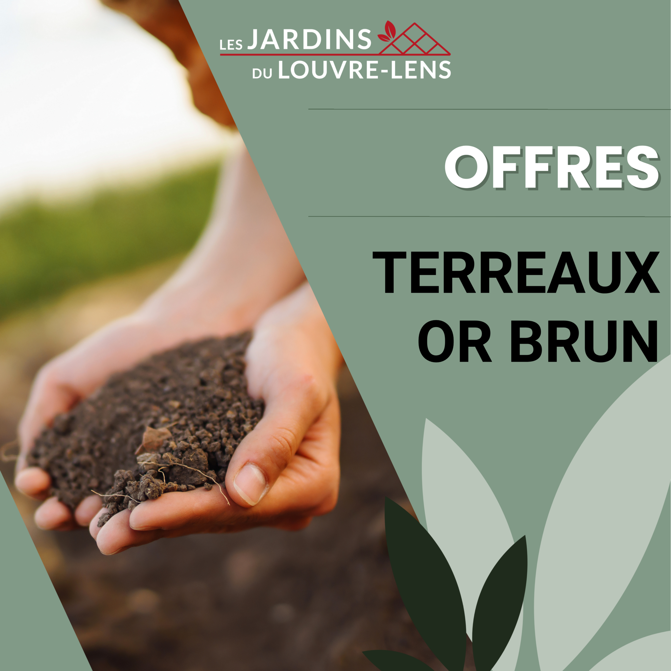 Terreaux or brun