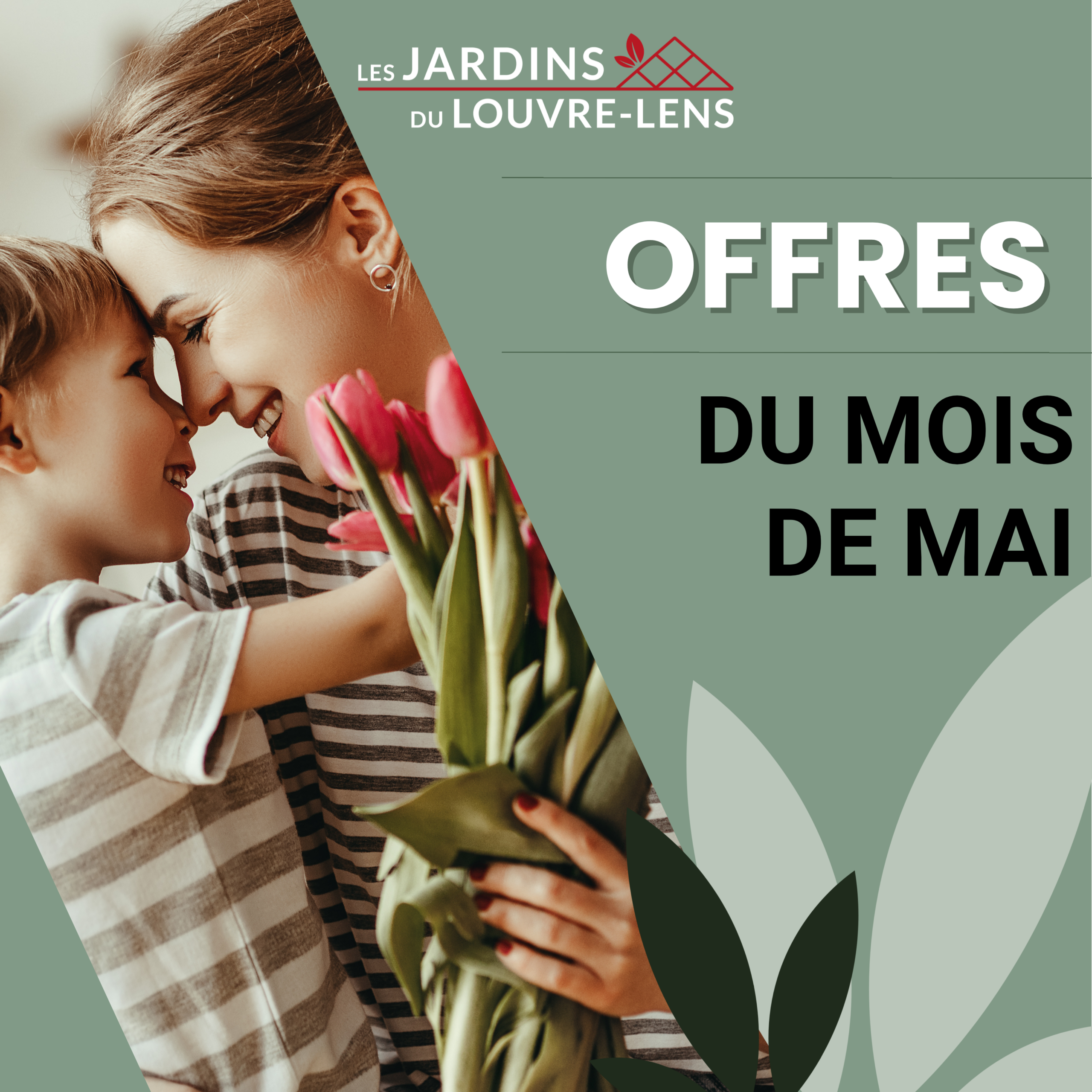 Offres fête des mères