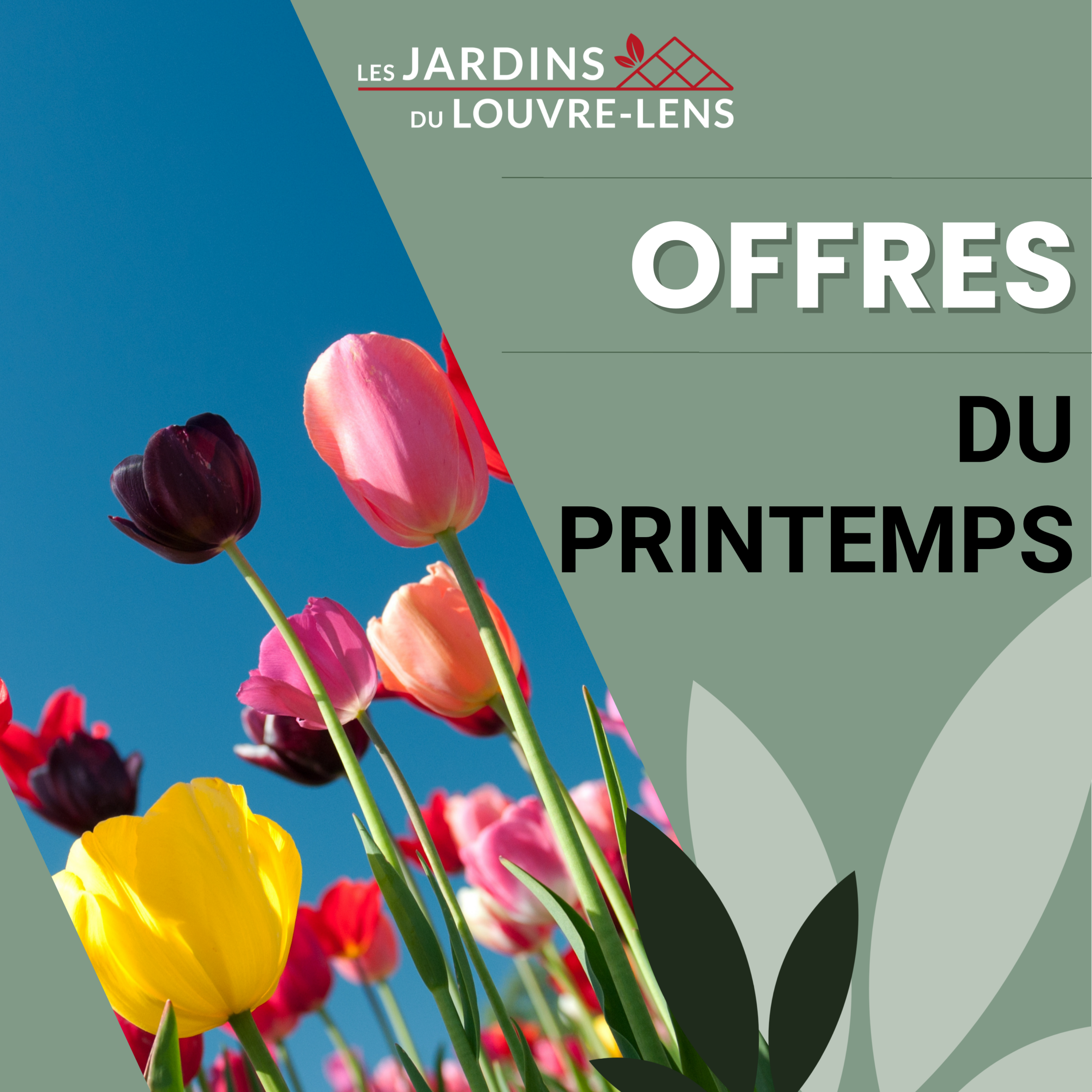 Ca sent bon le printemps